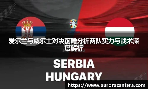 爱尔兰与威尔士对决前瞻分析两队实力与战术深度解析
