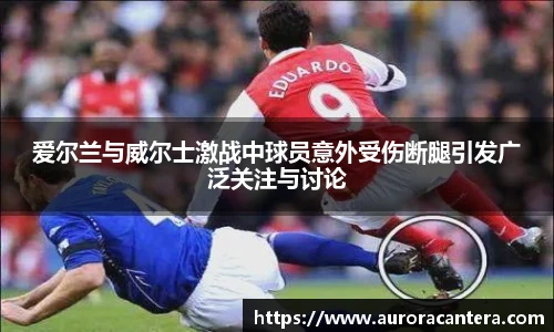 BB贝博艾弗森新版本