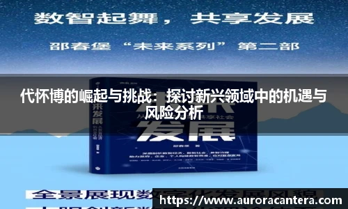 代怀博的崛起与挑战：探讨新兴领域中的机遇与风险分析