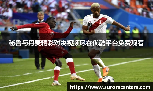秘鲁与丹麦精彩对决视频尽在优酷平台免费观看