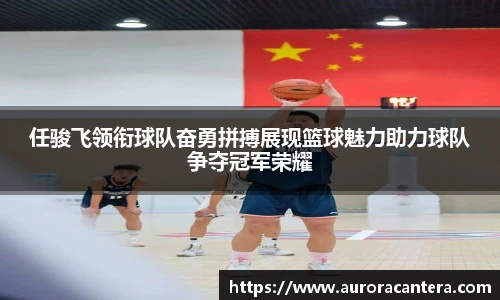 BB贝博艾弗森新版本